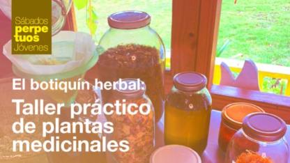 Sábados perpetuos: El botiquín herbal con Mom Medicina