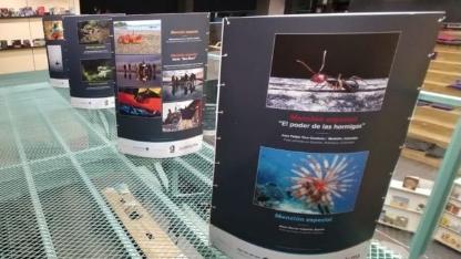 Visita guiada: Exposición Agenda del mar
