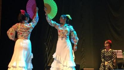Vida íntima del arte: Contribución - Festival de Flamenco