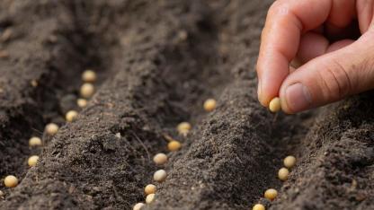 Soberanía y memorias del suelo: de semillas a sustento